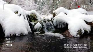 Nature Therapy | Asmr Video No. 039🌈