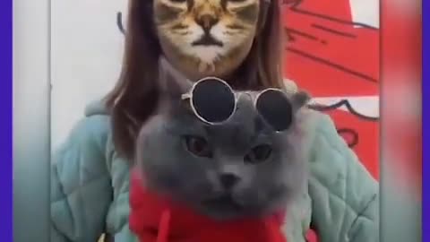 Cat mask application with funny compilation