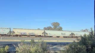 Grain Train