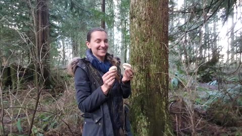 Medicinal Mushroom Foraging in the Pacific Northwest