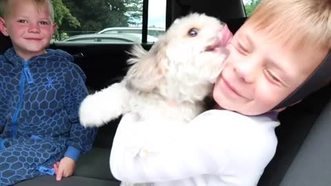 Real Life Puppy LOVE - Amazing Pets