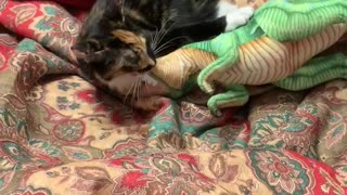 Sybil vs Dinosaur