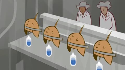 The biggest disruption facing horseshoe crabs comes from humans