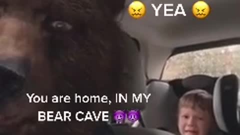 Funny dad Bear with kid