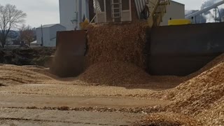 Trailer unload on a tipper.