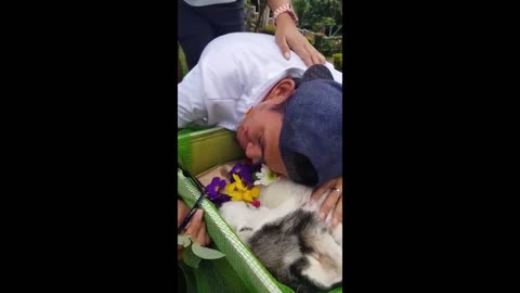 Owner Crying for Dog's Death - Viral Videos 2018 Philippines