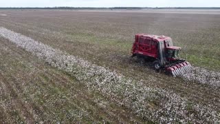 Red Picker running McCullough Al