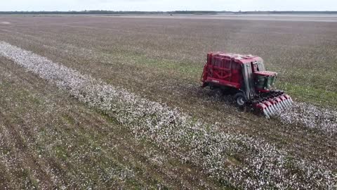 Red Picker running McCullough Al