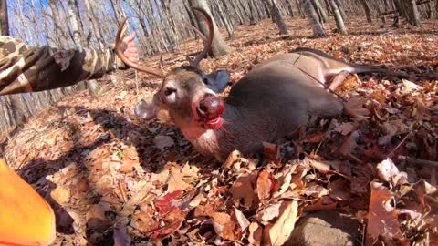 Public Land Ghost! Buck Down!