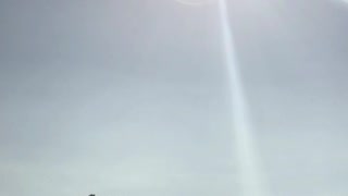 Eclipse From an Oregon Cemetery