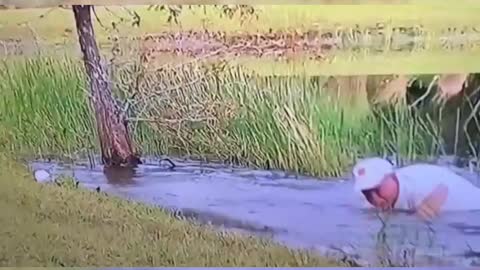 Man Rescues Puppy From Alligator