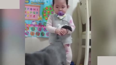 Its so funny moment cat play with little baby