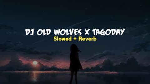 DJ OLD WOLVES X TAGODAY TIK TOK VIRAL slowed + Reverb