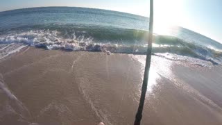 Stripers at Island Beach State Park