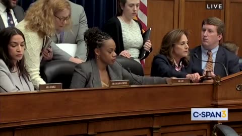 Riley Gaines Hits Back At Dem Rep Calling Her 'Transphobic,' Rep Then Disrupts Hearing