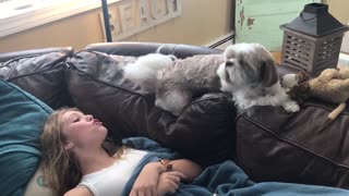 Dog and owner howl together