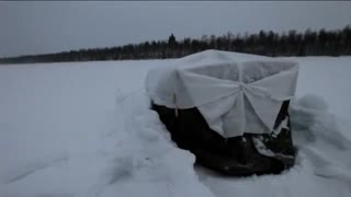 Frozen Planet: Battling Black Grouse