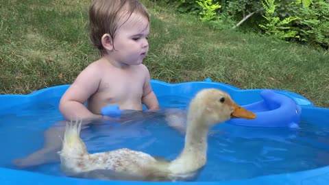 Funniest Cutest Baby Reaction to Duckling in the Pool