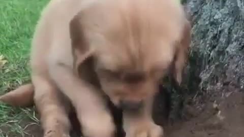 Playing with mud