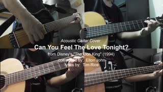 Guitar Learning Journey: Can You Feel The Love Tonight? Instrumental (cover)