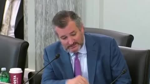 Ted Cruz asks Buttigieg “Was the Hunter Biden Laptop misinformation?”Look at him smile