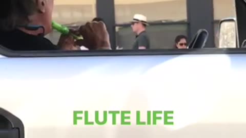 Flute Life - stranger danger