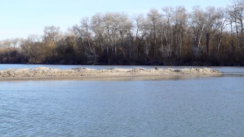 CHECHNYA Morning River Beautiful Birdsong Wildlife! 2022