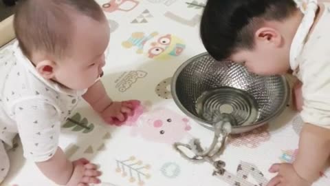 The first reaction to seeing the younger brother octopus