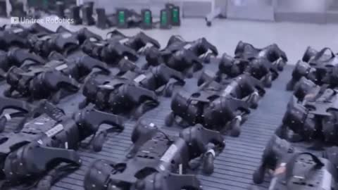 Watch China crea un 'ejército' de perros robot con inteligencia artificial