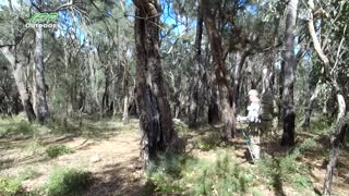 Bibbulmun track part 10 Monadnocks To Mount Cooke
