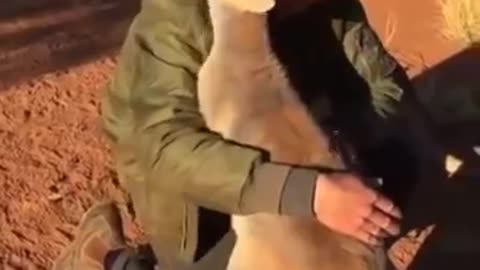 Animals Showing Love to Human Who Saved Them