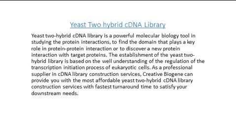Yeast Two-hybrid cDNA Library