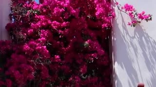 Amazing drone footage of Mykonos