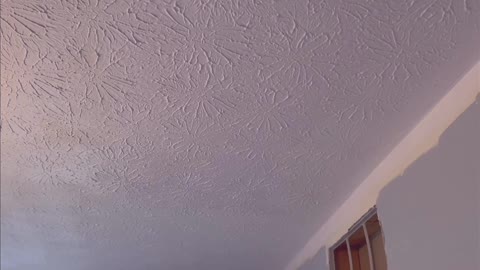 Common Sense DIY E04 Purple Ceiling Paint