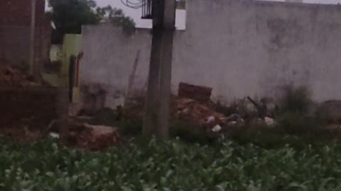 Transformer fault || in my village