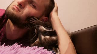 Raccoon Rubs Man's Face