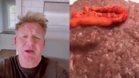 Best Gordon Ramsey reaction on beef Burger