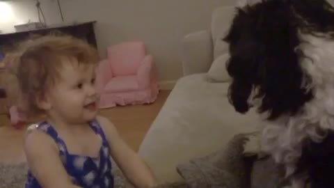 Baby gives kisses to Shih Tzu dog