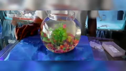 Gold Fishes Breathing Step by step/