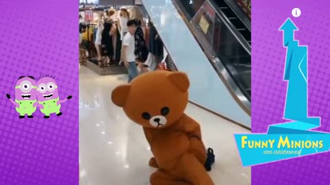 Funny Chinese Brown Teddy Bear / Try not to laugh 2021