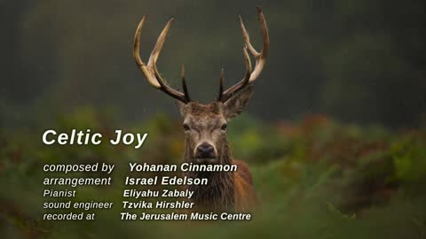 Celtic Joy - Yohanan Cinnamon - from Recollections album