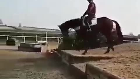 Crazy horse falls his rider on the mud