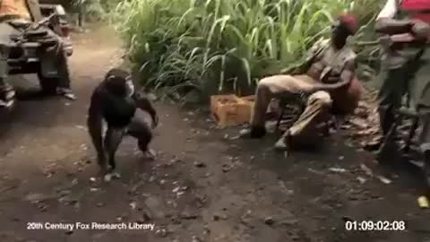 A monkey shooting