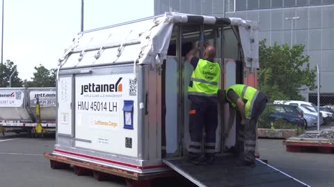 Horses at the lufthansa cargo animal lounge (EN)