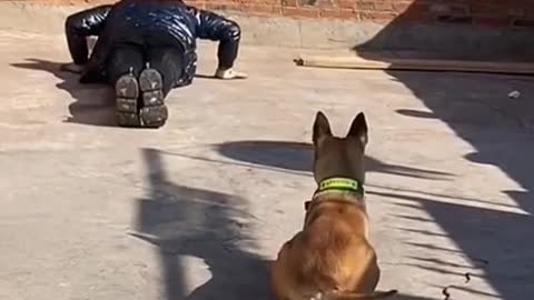 Dog and owner exercising