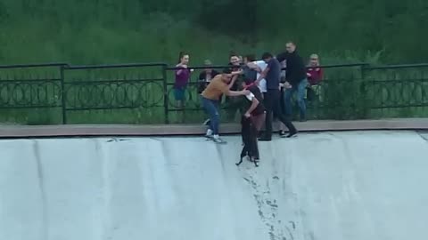 Passers-By Form Human Chain To Rescue Dog From A Reservoir