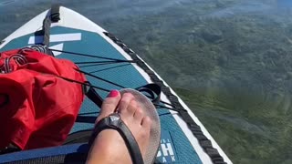 Sup-yak down the Colorado river