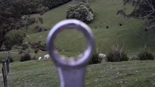 Mustering Sheep with a Spanner