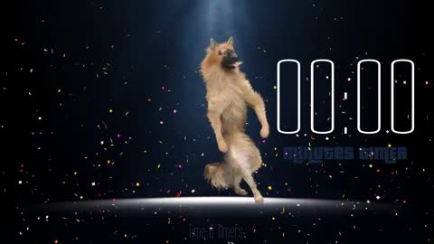 Funny Dancing Dog 1 Minute TIMER with Music and Alarm 4K