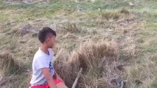 Wow! Amazing Children Catch Big Water Snake In Hole - Catch Snake In Cambodia